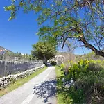 Adrienne 100m Vom In Miholascica Auf Der Insel Cres Hébergement de vacances Martinšćica