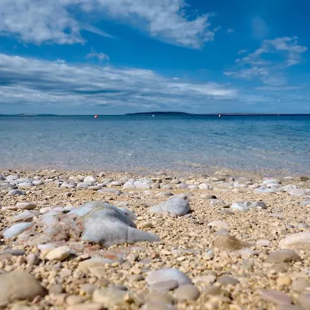 Adrienne 100m Vom In Miholascica Auf Der Insel Cres Dom wakacyjny Martinšćica